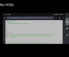 Project: DiminutiveCoin: UTILITY! DimiDAO, DimiNotary, Store soon